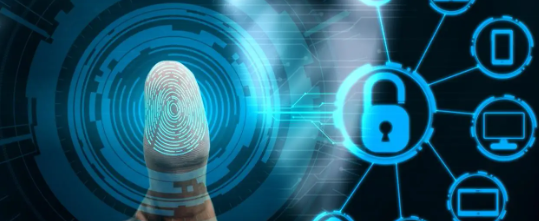 维多利亚老品牌vic(集团)官方网站