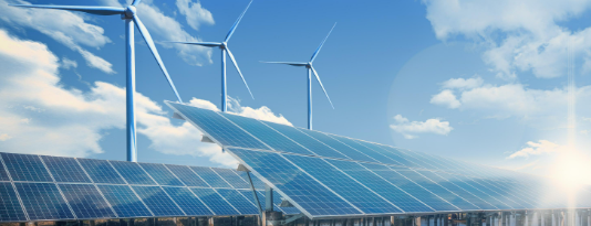 维多利亚老品牌vic(集团)官方网站