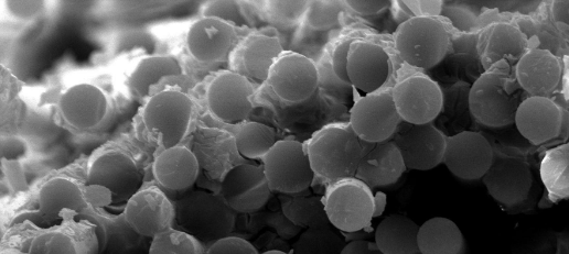 维多利亚老品牌vic(集团)官方网站