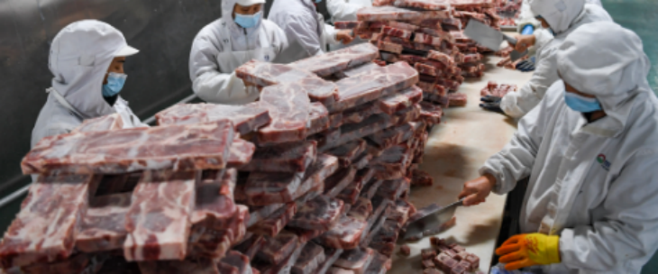 维多利亚老品牌vic(集团)官方网站