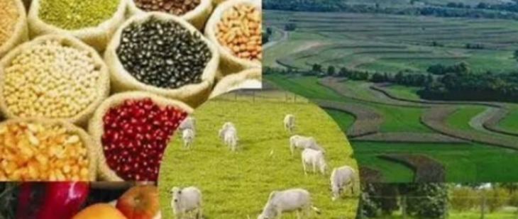 维多利亚老品牌vic(集团)官方网站