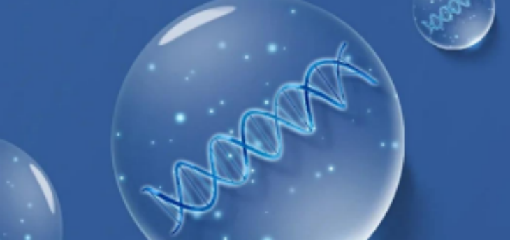 维多利亚老品牌vic(集团)官方网站