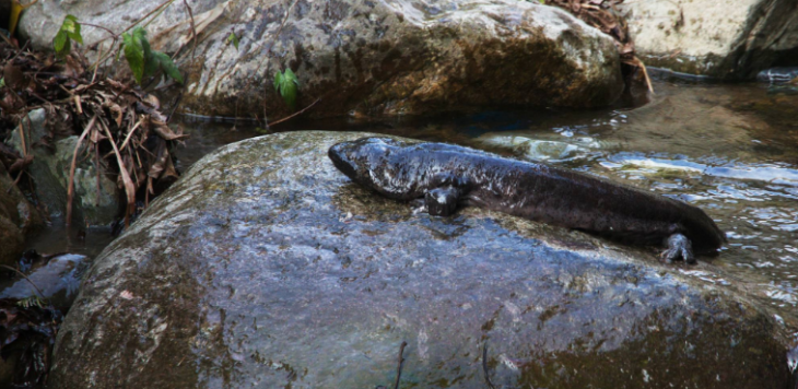 维多利亚老品牌vic(集团)官方网站