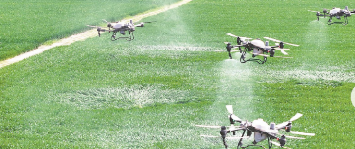 维多利亚老品牌vic(集团)官方网站