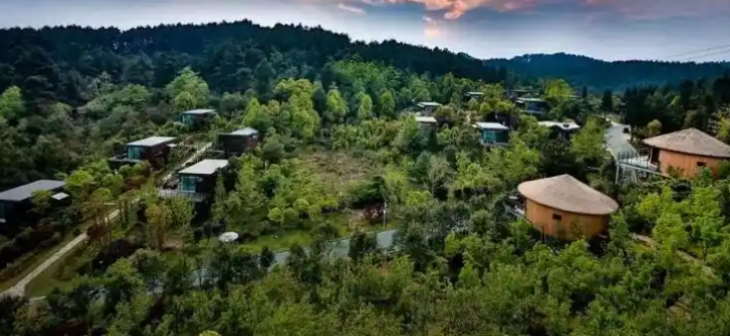 维多利亚老品牌vic(集团)官方网站