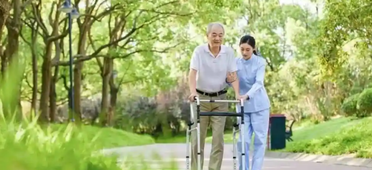 维多利亚老品牌vic(集团)官方网站