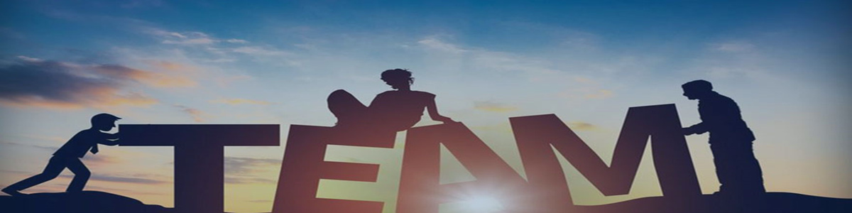 维多利亚老品牌vic咨询团队